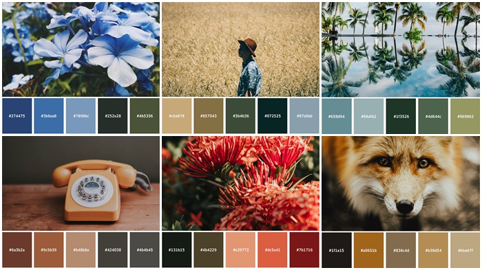 How to Storyboard: 6 Color Techniques for Mood and Tone